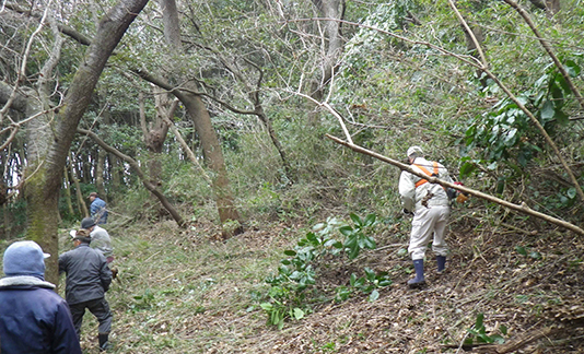 めぐりの森で生物多様性の主流化を